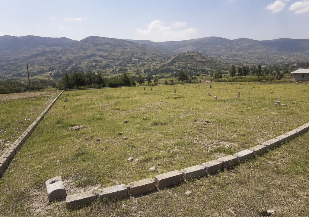 Land & Plots